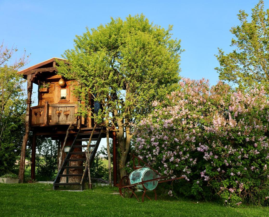 Ferienwohnung La Collina Dei Ciliegi Cagli Exterior foto